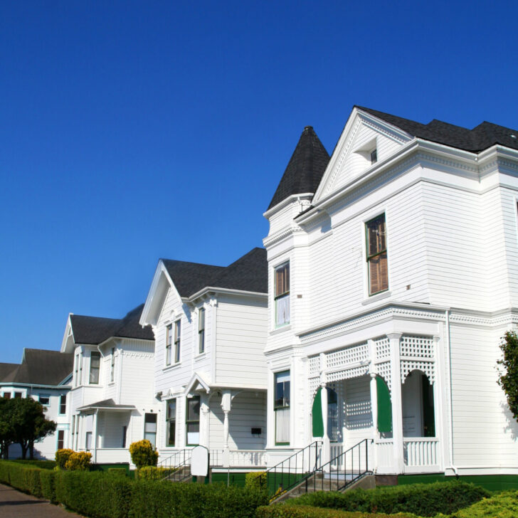 Row of White Houses (portrait)